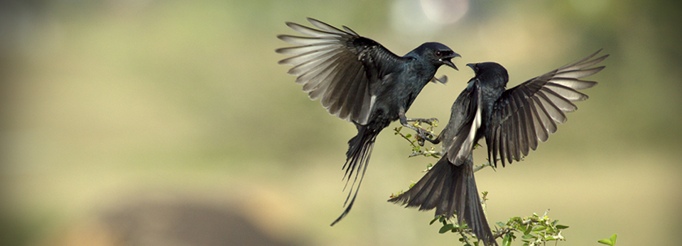 ddos压力测试网页端